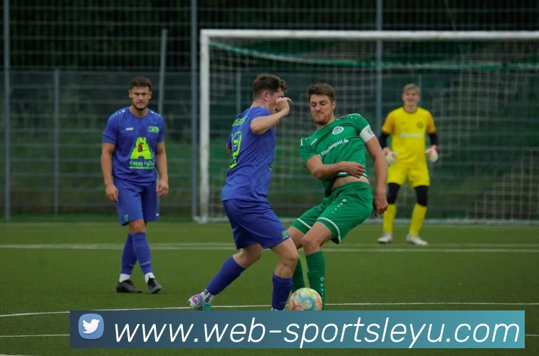 乐鱼体育平台生态图